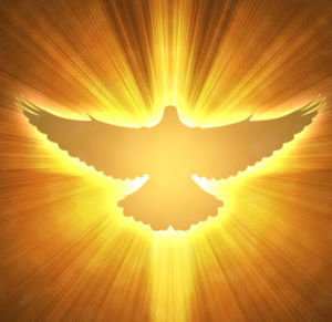 Meet your Posher, Gabriel dejesus